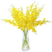 uploads/erp/collection/images/Home Garden/CongDing/XU0611617/img_b/XU0611617_img_b_5